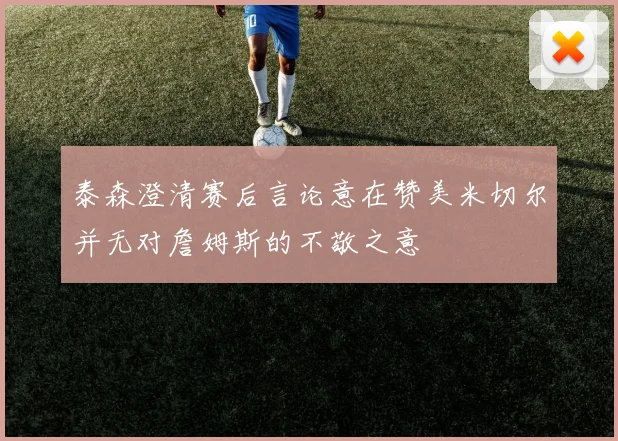 泰森澄清赛后言论意在赞美米切尔并无对詹姆斯的不敬之意