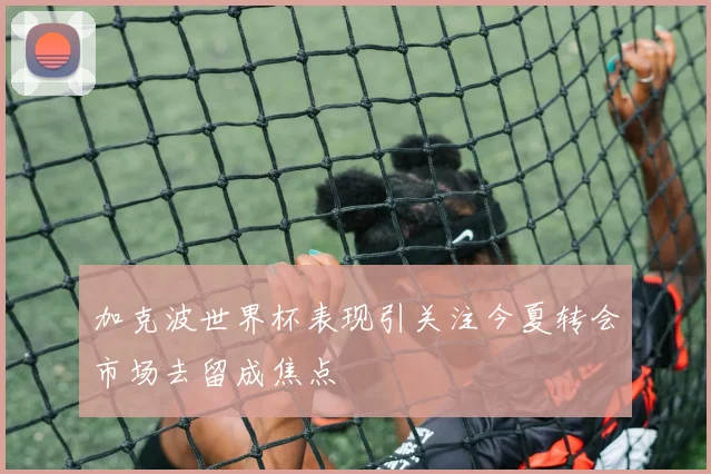 加克波世界杯表现引关注今夏转会市场去留成焦点